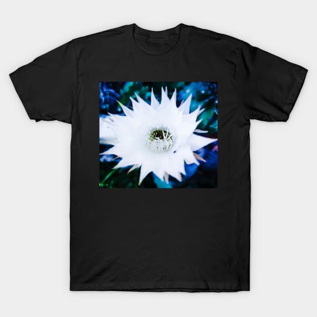 White Flower of cactus T-Shirt by Zinoo